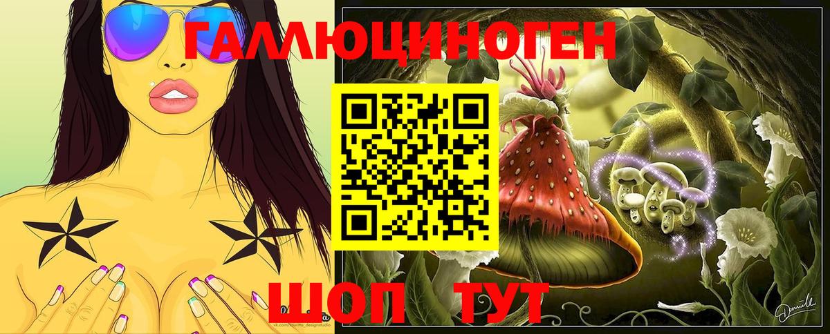 Псилоцибиновые грибы Psilocybine cubensis Таганрог